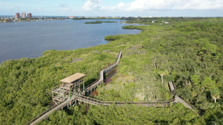 Walking Club: Exploring Boca Ciega Millennium Park in Seminole 