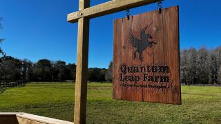 Quantum Leap Farm 