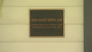 Davis Islands Garden Club 