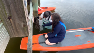 Oyster Garden Program