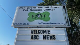 Fluff Animal Rescue