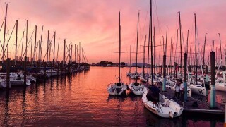 Davis Island Yacht Club