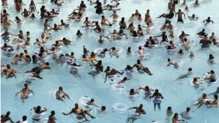 Swimmers Pool Swimming 