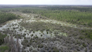 Starkey Wilderness Park