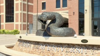 FAMU snake