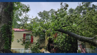 Levy County Debby damage