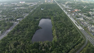 Walking Club: Exploring Al Lopez Park in Tampa